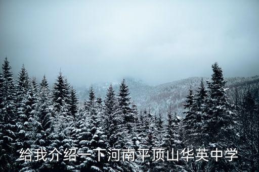 給我介紹一下河南平頂山華英中學(xué)