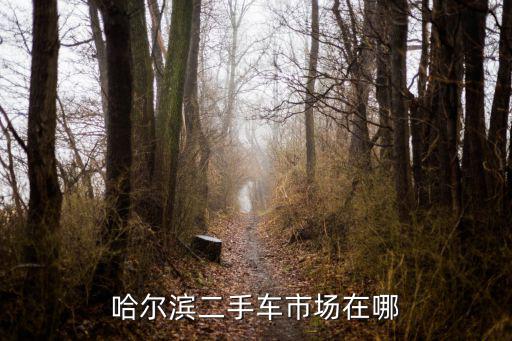 哈爾濱二手車市場，哈爾濱二手車市場有幾個