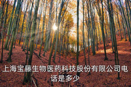 上海寶藤生物醫藥科技股份有限公司電話是多少