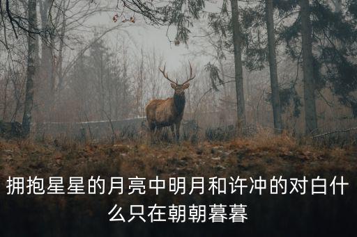 許沖，擁抱星星的月亮中明月和許沖的對白什么只在朝朝暮暮