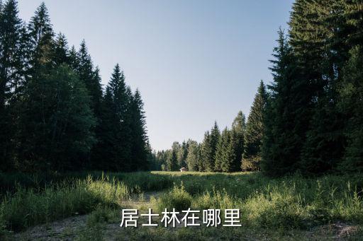 居士林，居士林在哪里