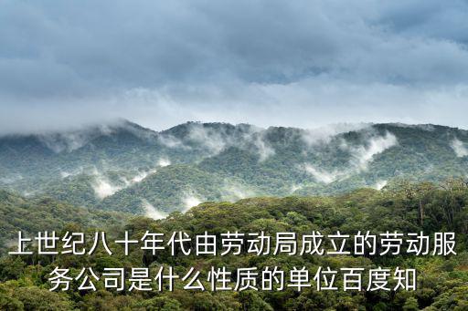 上世紀八十年代由勞動局成立的勞動服務公司是什么性質(zhì)的單位百度知