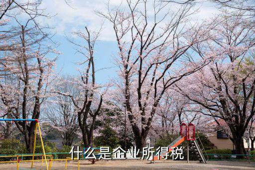 什么是企業所得稅，企業所得稅是什么意思