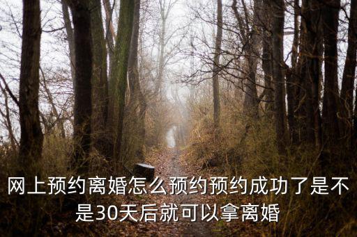 網上預約離婚怎么預約預約成功了是不是30天后就可以拿離婚