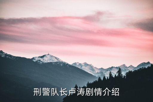 刑警隊長盧濤劇情介紹