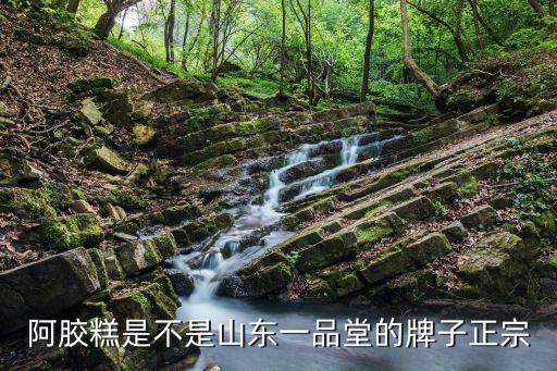 阿膠糕是不是山東一品堂的牌子正宗