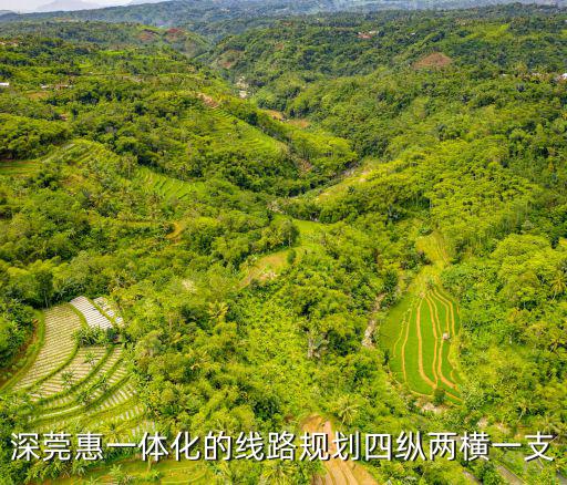 深莞惠一體化的線路規(guī)劃四縱兩橫一支