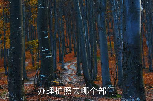 辦理護照去哪個部門
