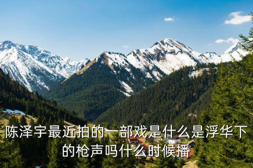 陳澤宇最近拍的一部戲是什么是浮華下的槍聲嗎什么時候播