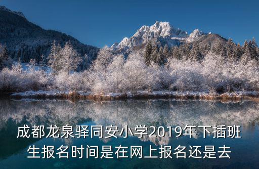 成都龍泉驛同安小學2019年下插班生報名時間是在網上報名還是去