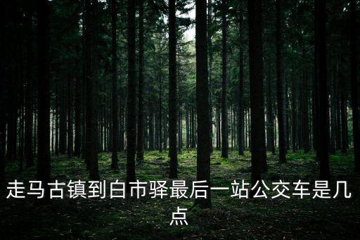 走馬古鎮到白市驛最后一站公交車是幾點