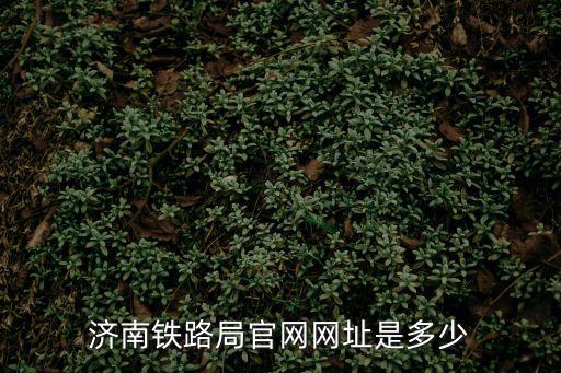 濟南鐵路局官網網址是多少