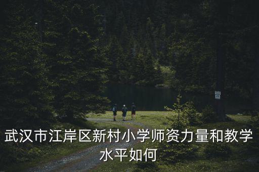 武漢市江岸區(qū)新村小學(xué)師資力量和教學(xué)水平如何