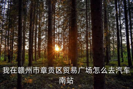 我在贛州市章貢區貿易廣場怎么去汽車南站