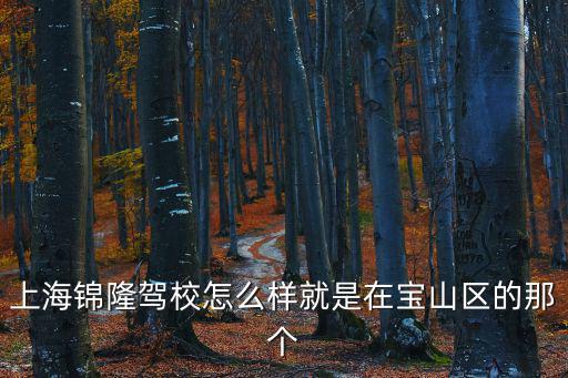 上海錦隆駕校怎么樣就是在寶山區(qū)的那個