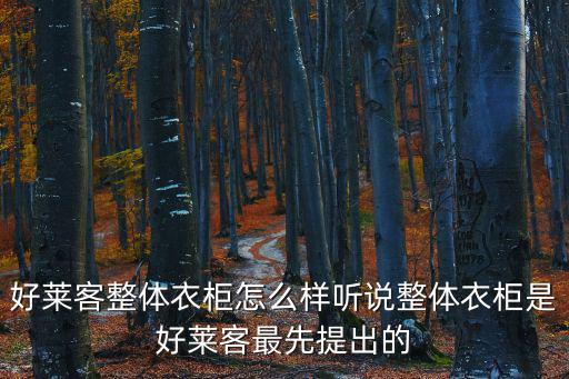 好萊客整體衣柜，好萊客整體衣柜怎么樣聽說整體衣柜是好萊客最先提出的