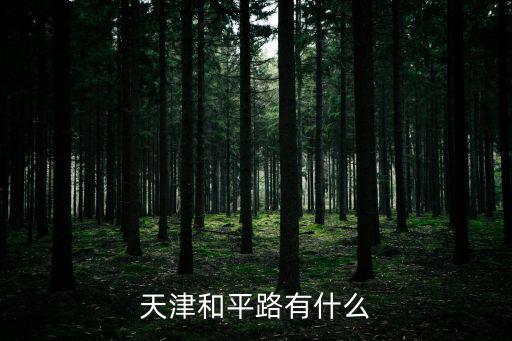 天津和平，和平區是天津的市中心嗎