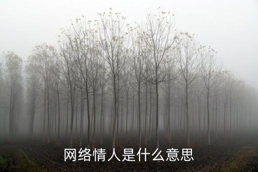 網(wǎng)絡(luò)情人是什么意思