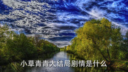 小草青青大結局劇情是什么