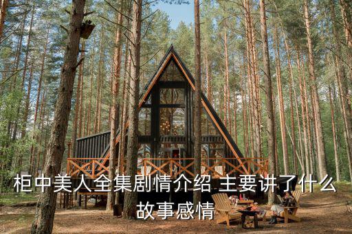 柜中美人全集劇情介紹 主要講了什么故事感情