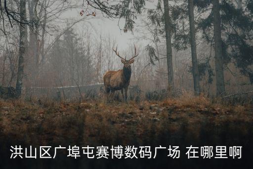 洪山區廣埠屯賽博數碼廣場 在哪里啊