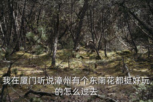 漳州東南花都，我在廈門聽說漳州有個(gè)東南花都挺好玩的怎么過去