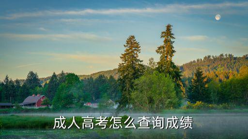 成人高考怎么查詢成績