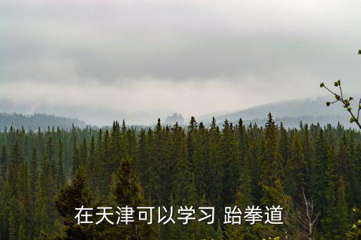 在天津可以學習 跆拳道
