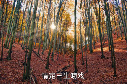 情定三生吻戲