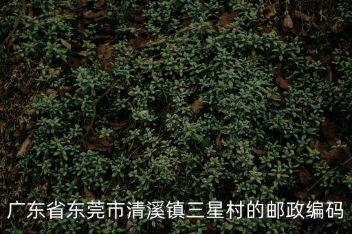廣東省東莞市清溪鎮(zhèn)三星村的郵政編碼