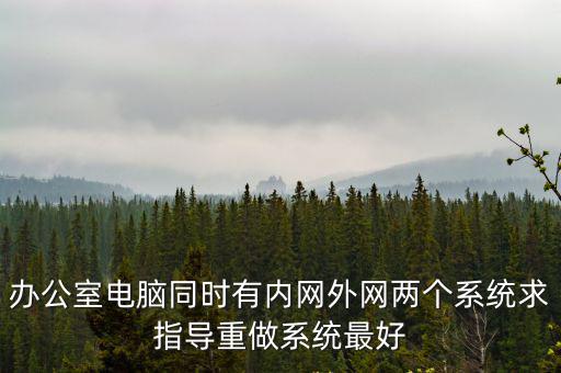 辦公室電腦同時有內網外網兩個系統求指導重做系統最好