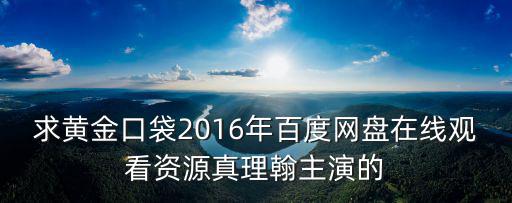 求黃金口袋2016年百度網(wǎng)盤在線觀看資源真理翰主演的