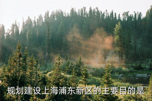 浦東規劃，規劃建設上海浦東新區的主要目的是
