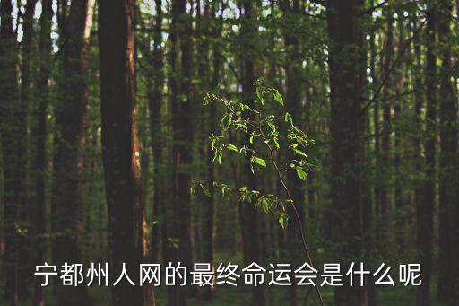 寧都州人，寧都縣哪個網(wǎng)站最大影響最大呀是不是寧都州人