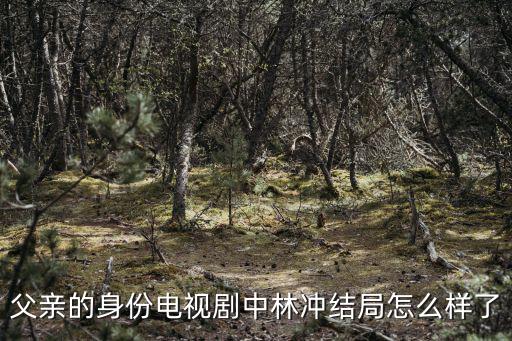 父親的身份電視劇中林沖結(jié)局怎么樣了