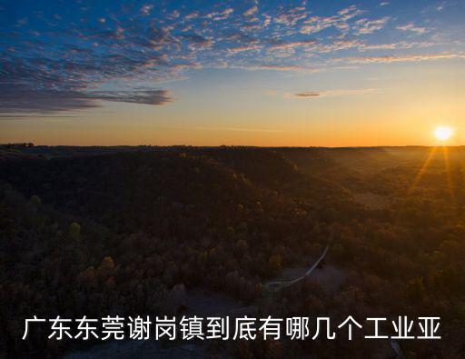 廣東東莞謝崗鎮到底有哪幾個工業亞