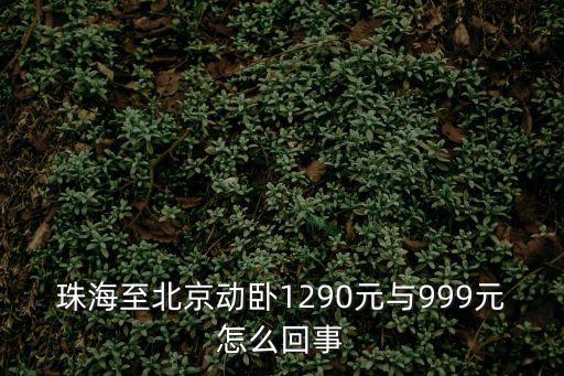 珠海至北京動臥1290元與999元怎么回事