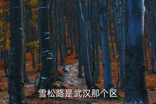 雪松路是武漢那個區