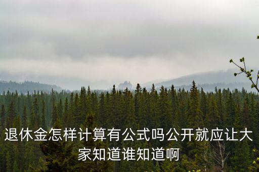 退休金怎樣計(jì)算有公式嗎公開就應(yīng)讓大家知道誰知道啊