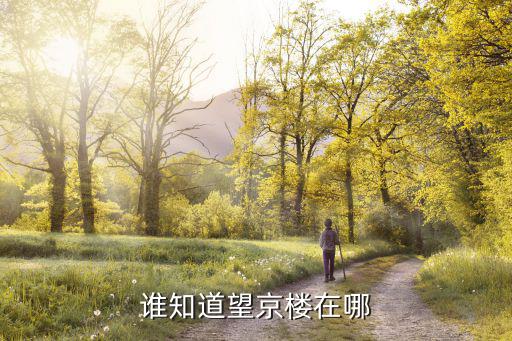 望京樓，誰知道望京樓在哪