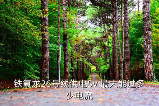 26號線，鐵氟龍26號線供電5v 最大能過多少電流