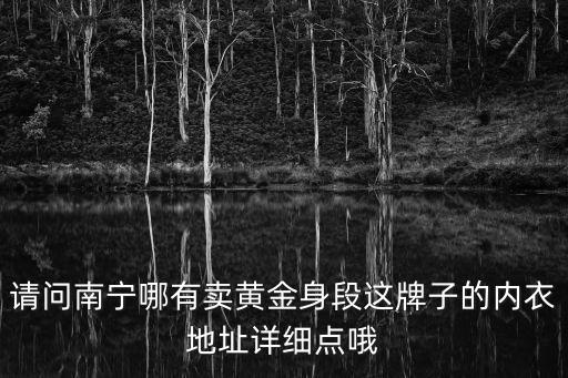 黃金身段，內衣黃金身段款號2127這一款多少錢