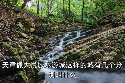 天津水游城，天津像大悅城水游城這樣的城有幾個分別叫什么