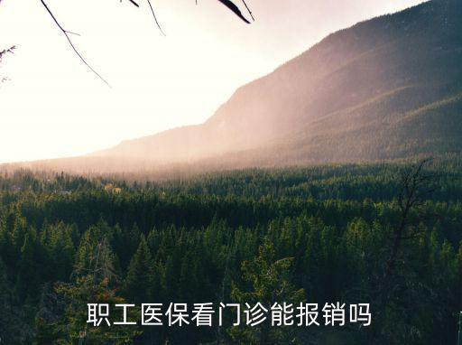 職工醫(yī)保看門診能報(bào)銷嗎