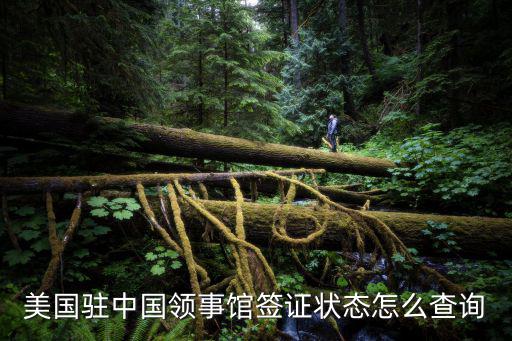 美國簽證狀態查詢，如何查詢美國簽證通過后的護照狀態