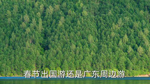 春節出國游還是廣東周邊游