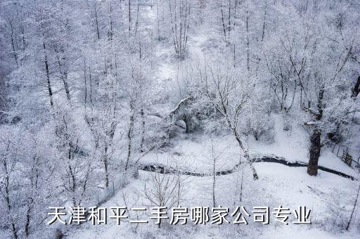 天津和平二手房哪家公司專業(yè)