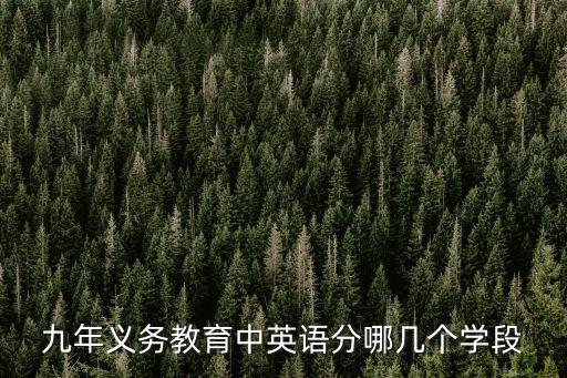 學段，學段編號是甚么