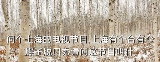 滬小胖，上海藝術人文頻道那個胖子主持人叫什么