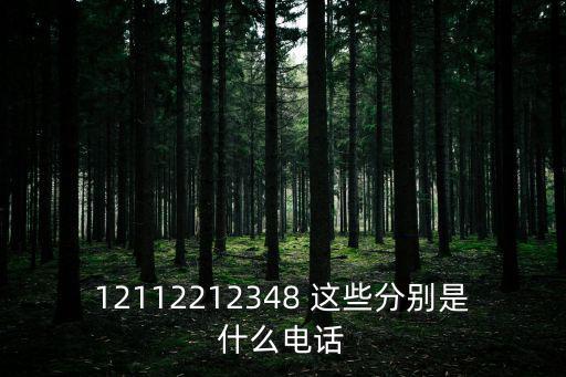 交通咨詢電話，交通事故電話是多少